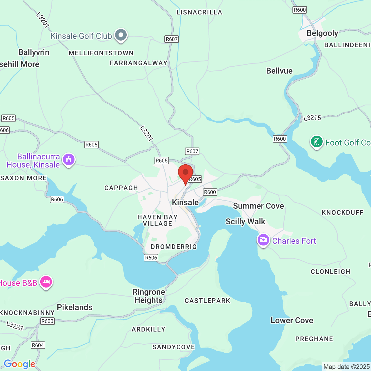 Map showing location of Cork, Island of Ireland,  P17 NY71